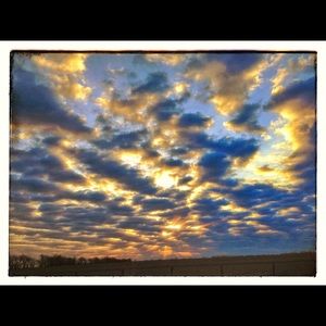 Meet your Posher, Liza ben